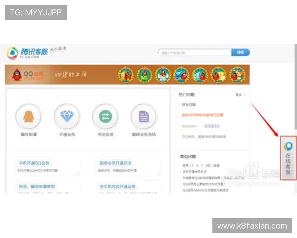 凯发体育客服网页版登录步骤详解，确保用户顺利进入平台享受优质服务体验
